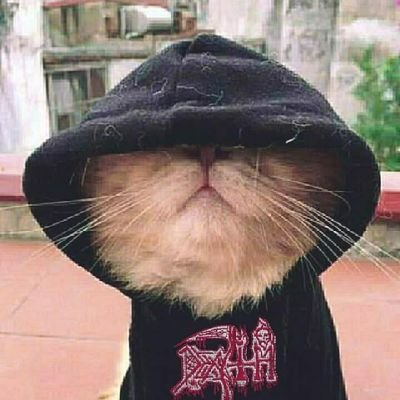 sepitus63069's profile picture. 