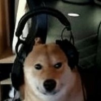 le malinche (@dasjozef) 's Twitter Profile Photo