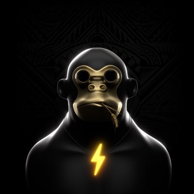 Crypto Enthusiast | Original Booga (OG) at @BoogasX | Titan at @ProjectX_DAO
