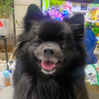 幸之助-sachinosuke (@sachinosuke05) 's Twitter Profile