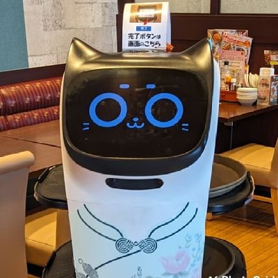 TKGRia's profile picture. ハモンは後ろ足 パレタは前足の生ハムなんですって ぼーのぼーの𓃟
りあだったり、豆腐だったり湯葉な人
さっきまでりあだった 💊薬剤師４年目🥼