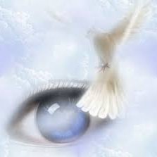 ferragmox's profile picture. 