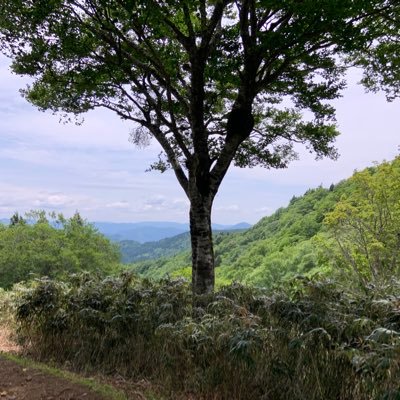 shindendenzu's profile picture. #相互フォロー #フォロバ #オタク #コミケ #ホロライブ #アニメ #五等分の花嫁 #フォロバ #光のアリア #久保さんは僕を許さない #リゼロ