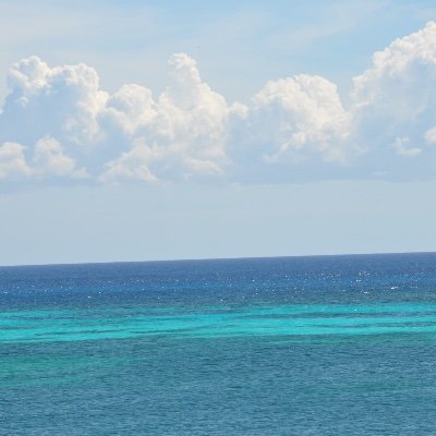 erporsche's profile picture. urban planner/designer/planning consultant, bicyclist and occasional perfectionist😂