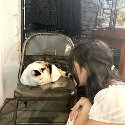 dayonlei Profile Picture