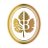 Saronsberg's profile image