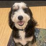 KathyCampion's profile picture. Mom, lover of books and reality tv, devotee of good food and good wine, creatively thinking of new ways to do old things