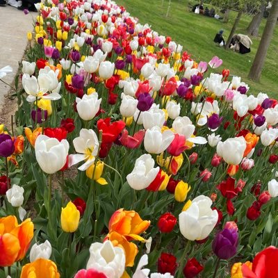 zynepp53's profile picture. 