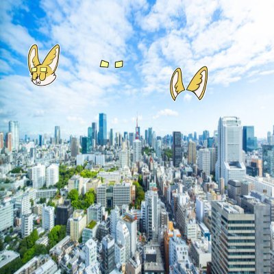 Majo15Jose's profile picture. Sahara #0180052