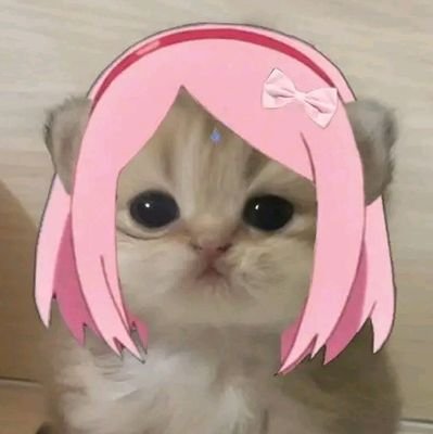 Pearlyshengさんのプロフィール画像