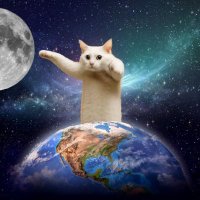 Shiro (@longcatshiro) 's Twitter Profile