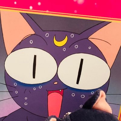 セーラームーンのグッズ交換を目的としてます。原神、スタレ、鳴潮、うたプリをやってるのでポストしたり、交換を求めるかもです。松岡禎丞さん、保志総一朗さんなど男性声優好き。ドナ好き。宜しくお願い致します。