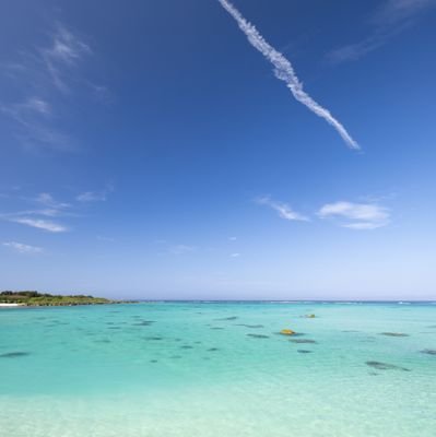 2uQHFeOW5MpYIfx's profile picture. 色々撮ります。カメラ:EOS R5/R6/OMSYSTEM TG-7 ソロキャンプも始めました。