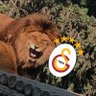 iilk1n's profile picture. Galatasaray ❤️💛