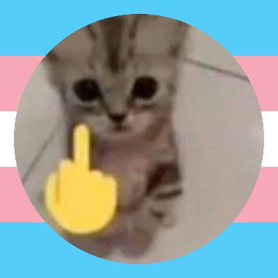 hi
self-taught 3d artist, guitarist and singer
pronouns - she/her
https://t.co/MG0tK483fE