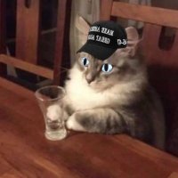 King of Еphеbоphiliа (@epheking) 's Twitter Profile Photo