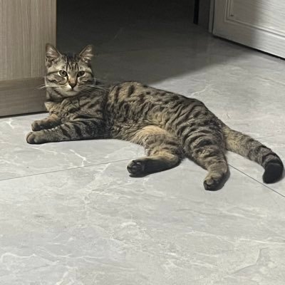 Fgdyx119289's profile picture. 