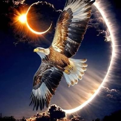 RuiLuz895575535's profile picture. Adult.
