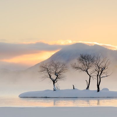 Uka006a00619's profile picture. 