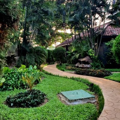 essenhsk2397's profile picture. 