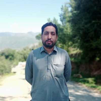 ZakirElSyed's profile picture. English Teacher