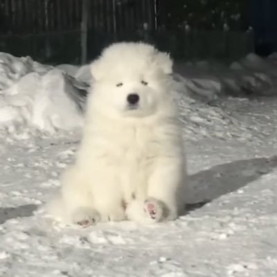 P0p_y0's profile picture. 🌪️