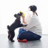 program_kakenai's profile picture. 島根県産へっぽこエンジニア／PHP、Vue