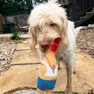 Food, Agriculture, Impact Strategy (sometimes poker) and often Edgar the luck dragon dog. Working on being less snarky.