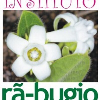 Instituto Rã-bugio para Conservação da Biodiversidade