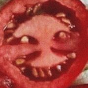 도마도さんのプロフィール画像