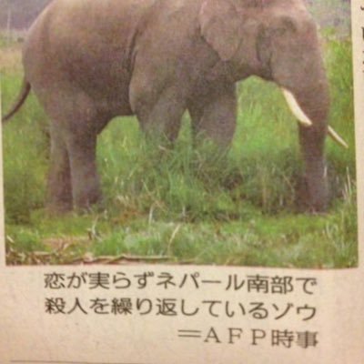 itf.25 scs2 忘れることができない香り。 ベトナムで過ごしたその幼少期。聖なる森林では、象たちがサンタルの幹を運んでいました。このサンタルは、寺院で燃やすためのものでした。ビロードがかった香りに、サイプレスとギンバイカの生彩感あふれる新鮮なタッチが加わります。今年の1文字は「ぽ」 。