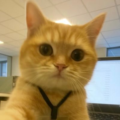 clouds_at_night's profile picture. 