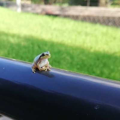 Chara_Alice35's profile picture. 08 わぁ！