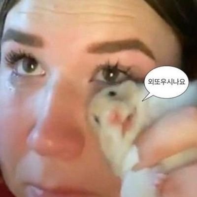 jamchilla_'s profile picture. 💙이재명 대통령님💙
☠️쳐패야만나아갈민주당☠️