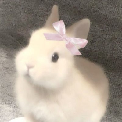 ♡ 19 ♡ MDNI ♡ Bi ♡ Switch ♡ Safe space for everyone ♡ TW: R@pe/Misogyny kinks. All fiction ♡ Alt for: @praise4mepls2 ♡ Other alt: @praise4mepls5 ♡ FUCK MAGA ♡