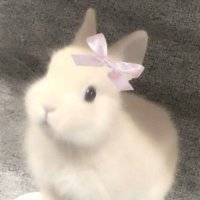 ♡⋅˚₊‧ ୨୧ ‧₊˚♡ (@praise4mepls4) 's Twitter Profile