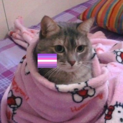 she/her 🏳️⚧️