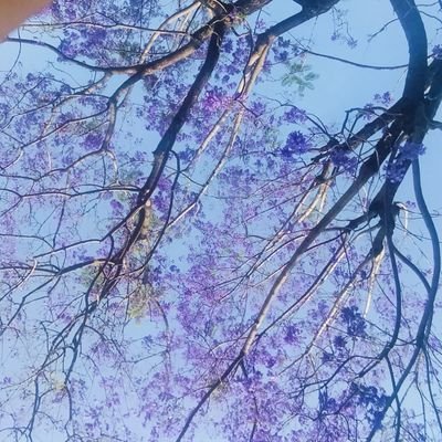 मानिस परिस्थितिको दास हो बाध्यता र अभाव सबैभन्दा ठूलो शिक्षा हो रहरले सपना देखाउन सिकाउछ भने अभावले संघर्ष गर्न सिकाउछ!
Mounata