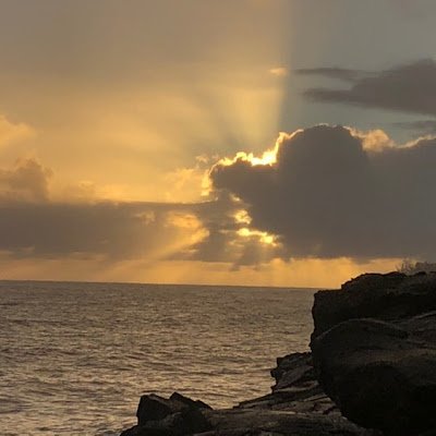 CosmicOracle333's profile picture. 