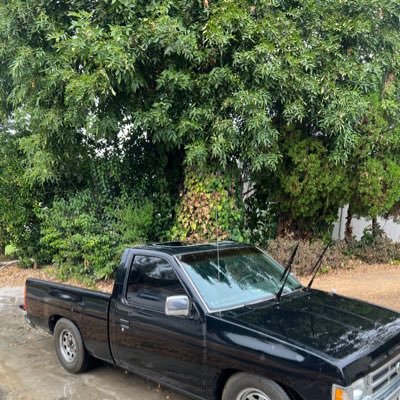 dchavito33's profile picture. 🍺🍺