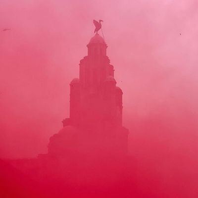 Forliverpoolfc1's profile picture. 