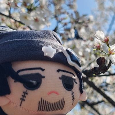 zhangye498261's profile picture. 20↑
I love your work!　:D