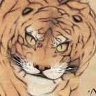 百彪(ひゃくとら)さんのプロフィール画像
