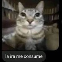 Valenaza (@vgarraza81229) 's Twitter Profile