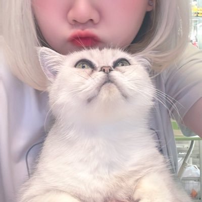 HanamiTomodo's profile picture. There are things that we can have, but can't keep