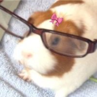 묘둥묘둥,, (@rkdluvart) 's Twitter Profile