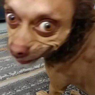 PistoIaaa's profile picture. Front End Developer proficient in Node.js, React.js, and JavaScript 💻 | Expertise in HTML, CSS, Bootstrap, and Tailwind 🖥️