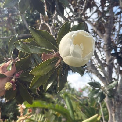 nasdaq19500's profile picture. 