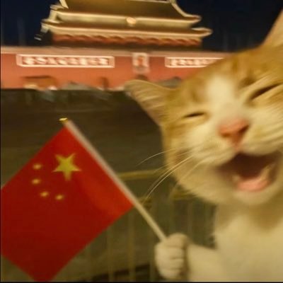 Cc20888's profile picture. 专骂台独狗
实力不详 遇强则强