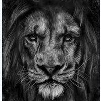 Simon Africano (@psimon1649) 's Twitter Profile